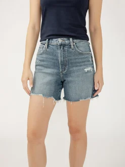 Highly Desirable High Rise Shorts